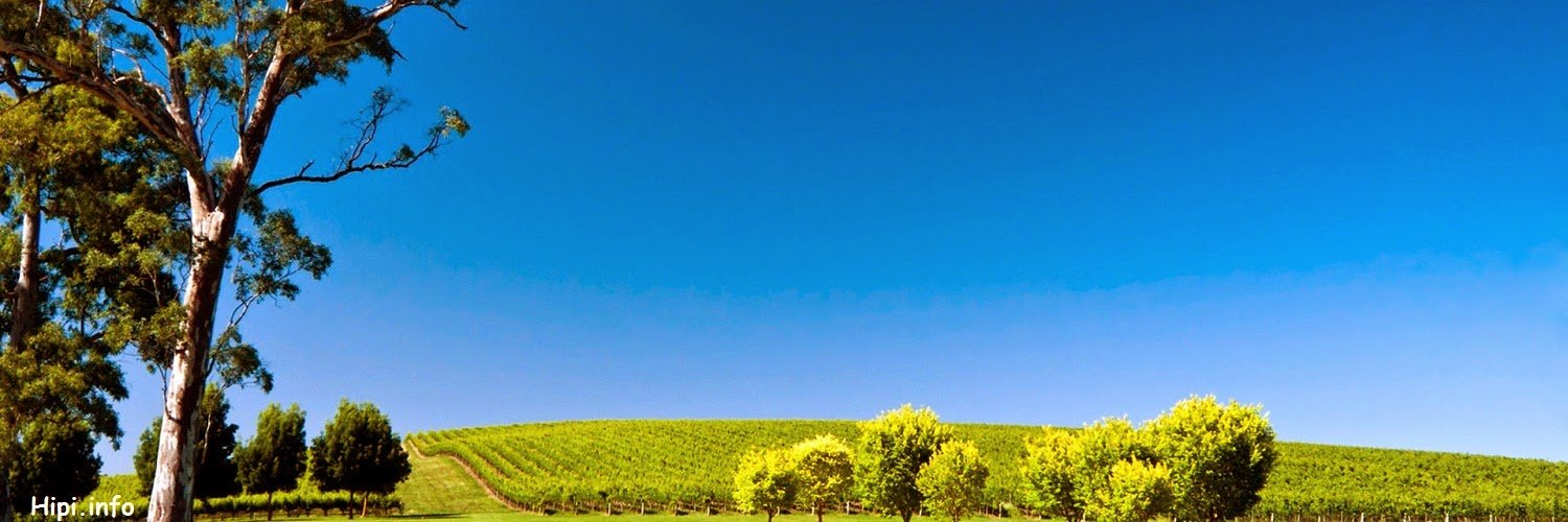 CooldMan_KWT's profile banner image