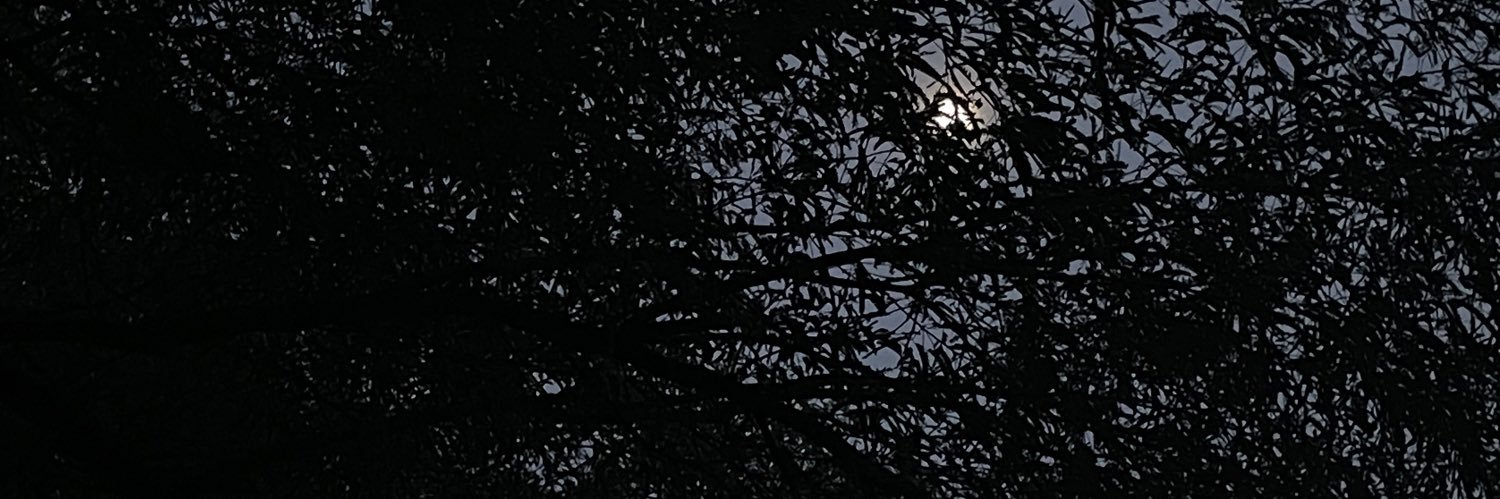 gabychenoweth's profile banner image