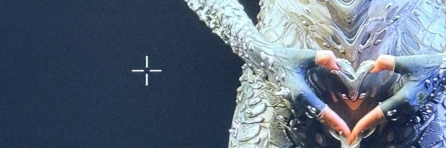 fkhwy09's profile banner image