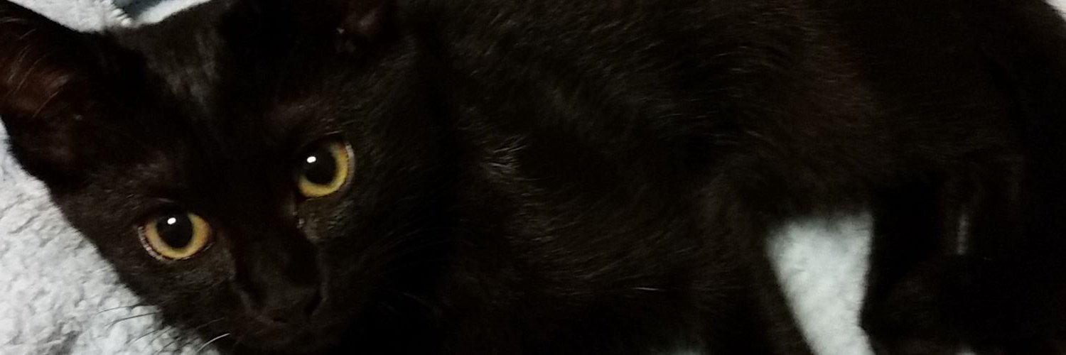 nyan2999's profile banner image