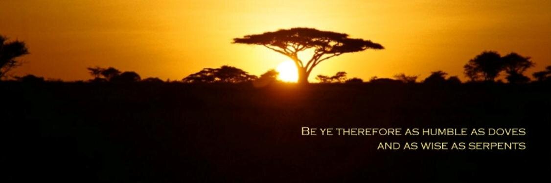 VictorSibeko's profile banner image
