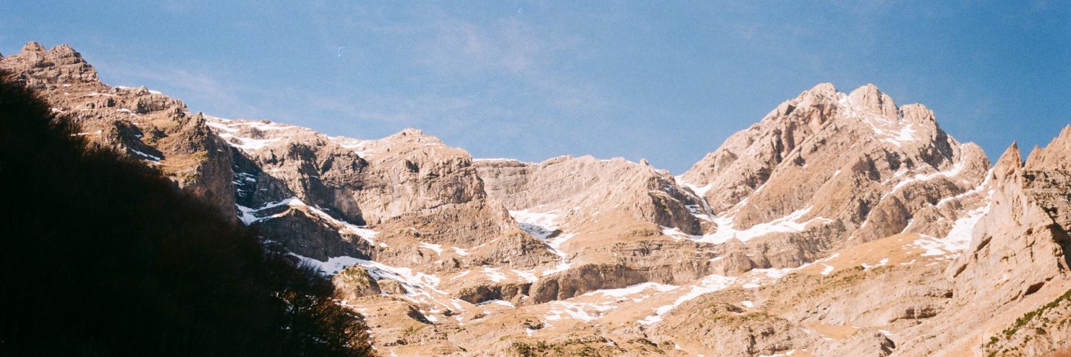 Albert Montilla banner