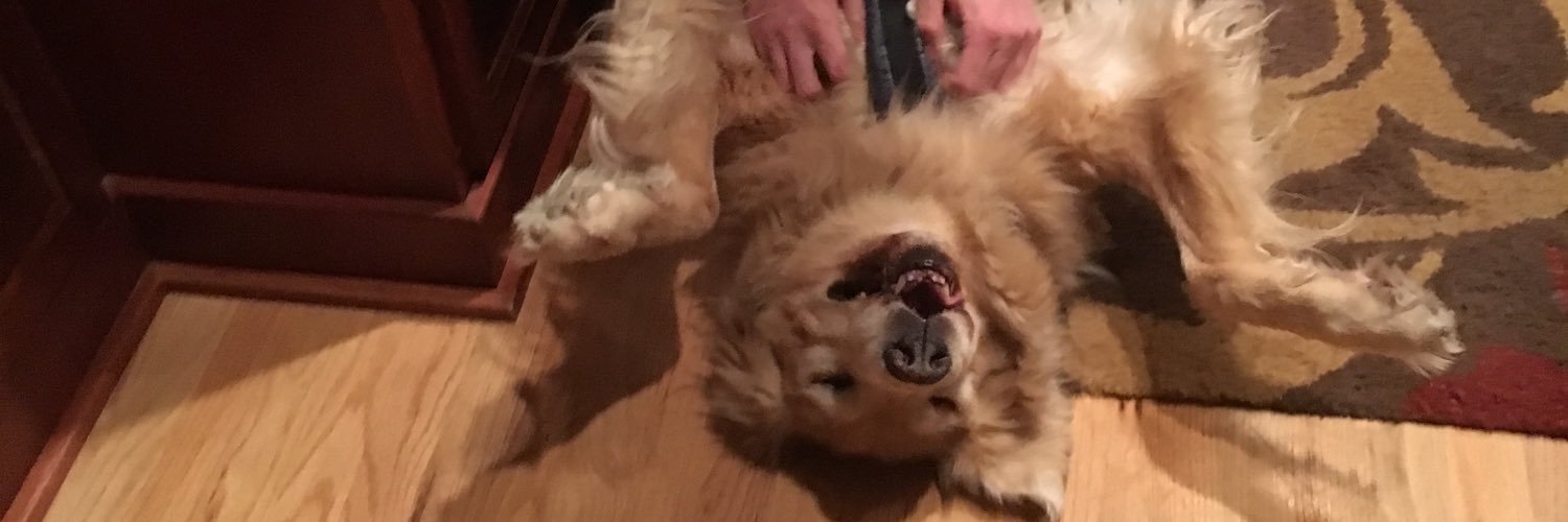 mrsmo_'s profile banner image