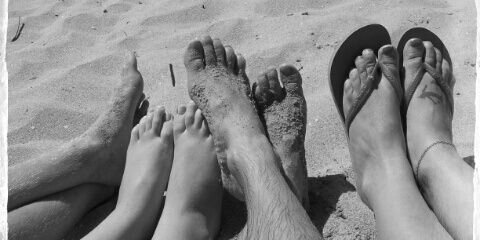 LisaSnell74's profile banner image