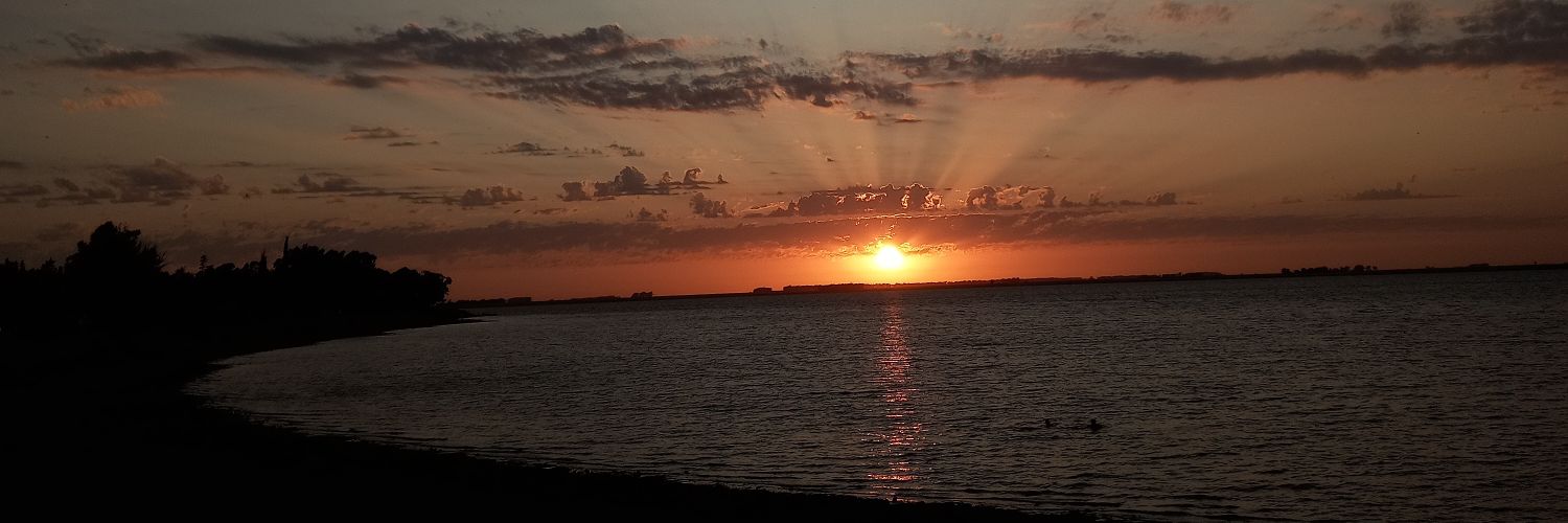 FeliWalter72's profile banner image