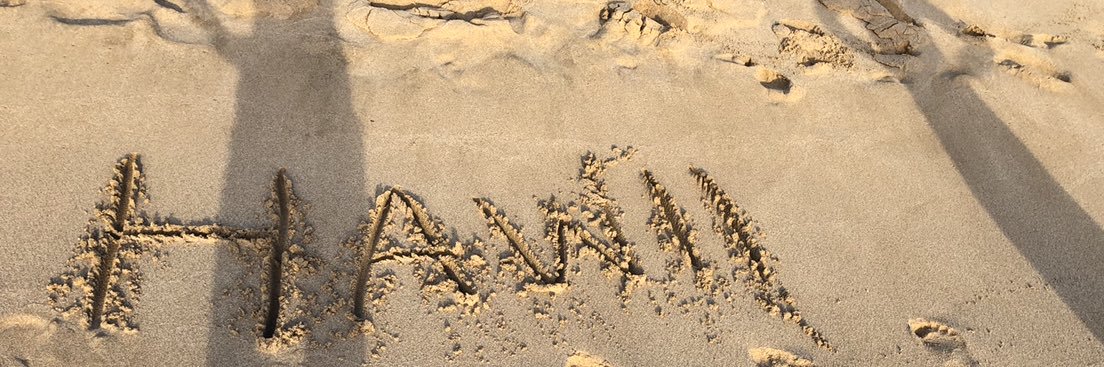 payalt24's profile banner image