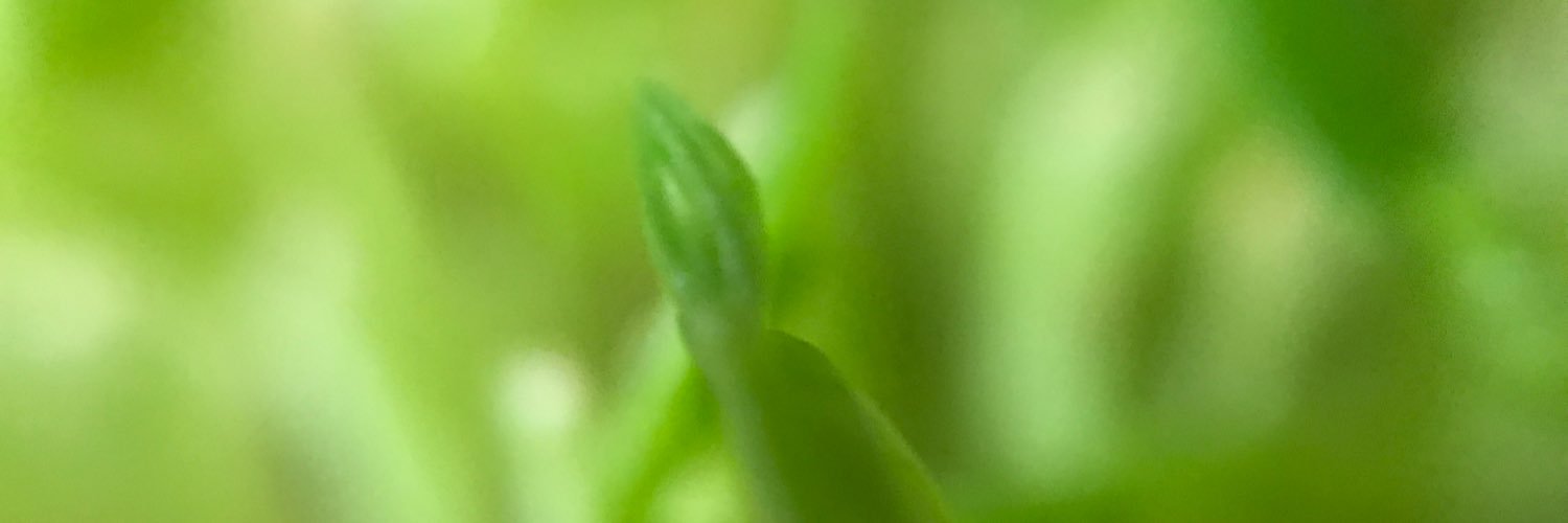 koh1916's profile banner image