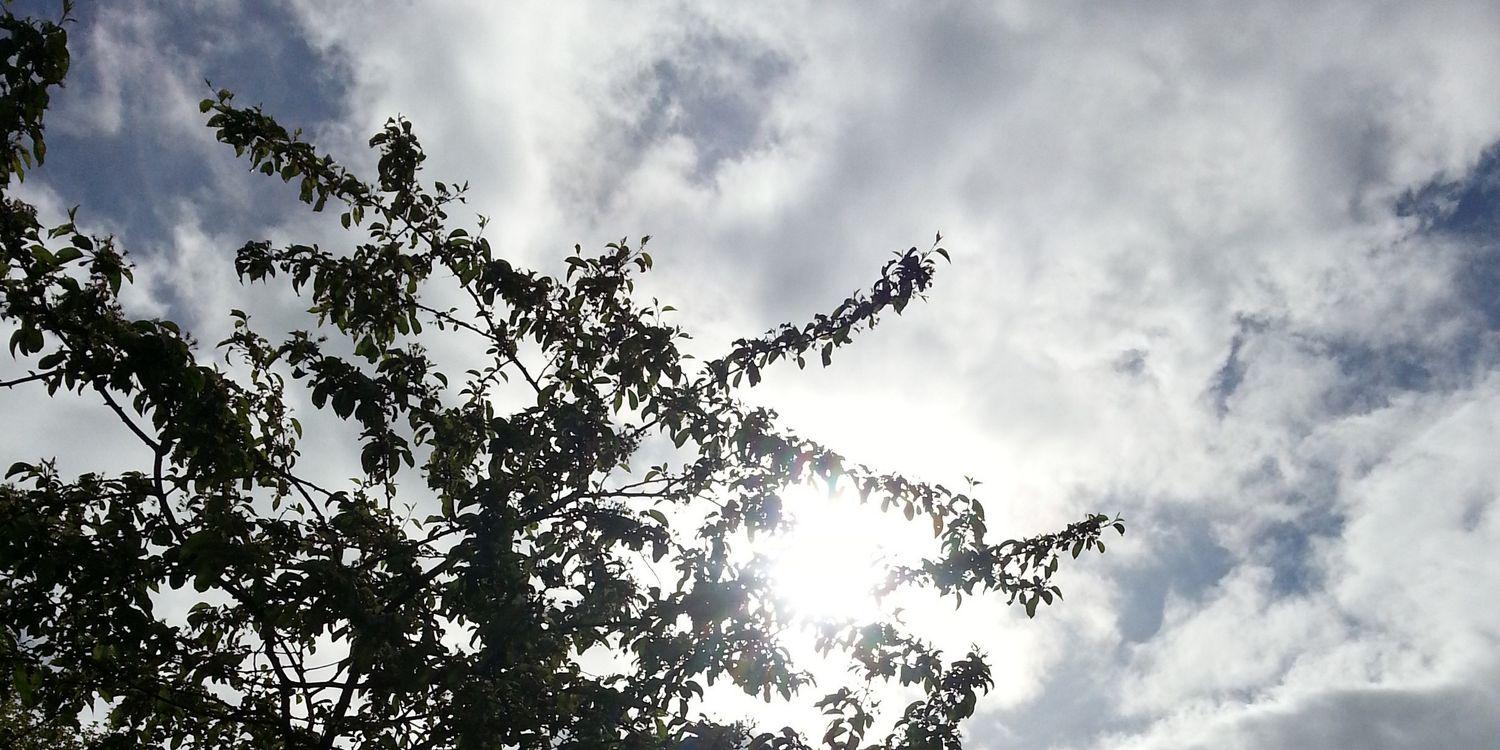 rob2353's profile banner image