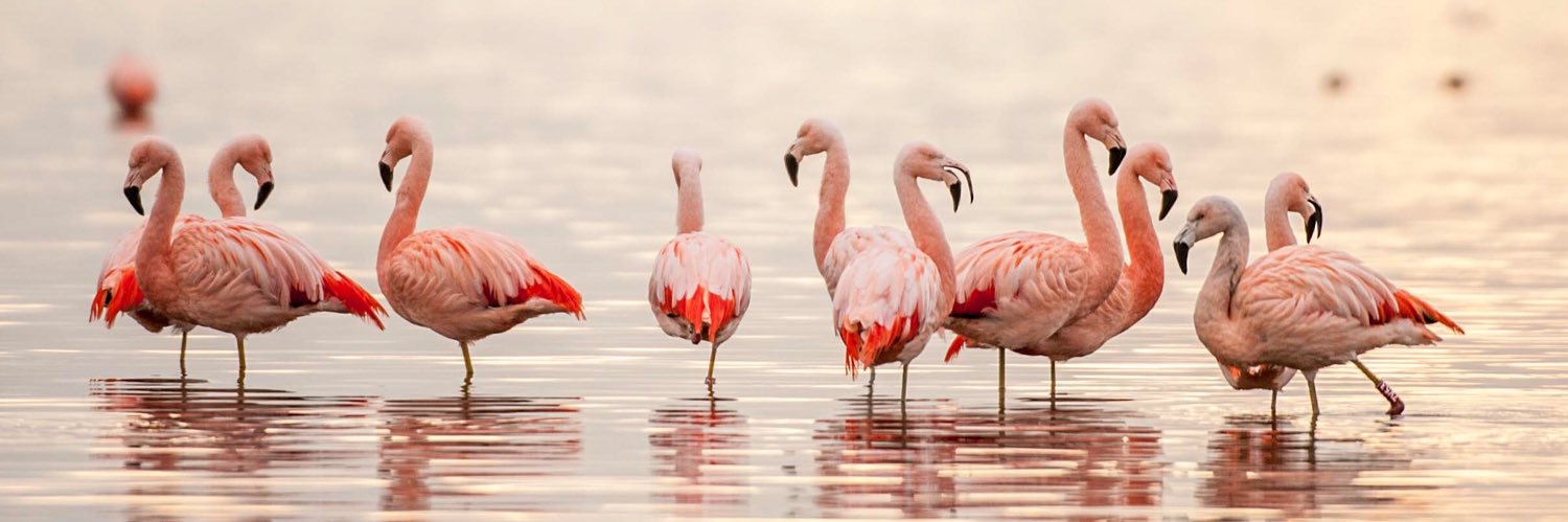 Goeree-Overflakkee banner