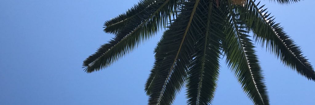 SavannahSweeney's profile banner image