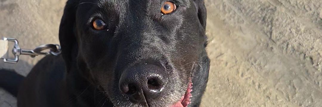 ashtastic23's profile banner image