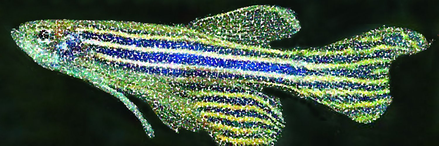 drzebrafish's profile banner image