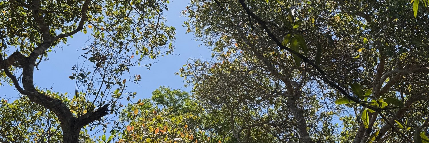 marianaaugusta_'s profile banner image