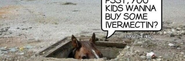 Not_Your_Vet's profile banner image