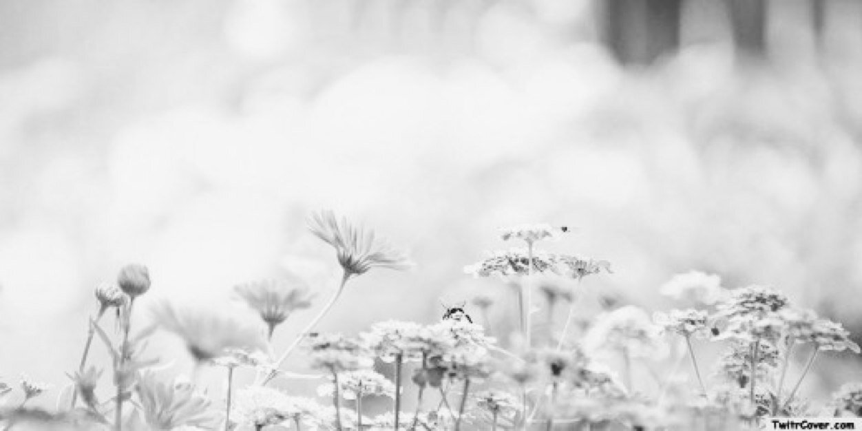 wutsides2's profile banner image