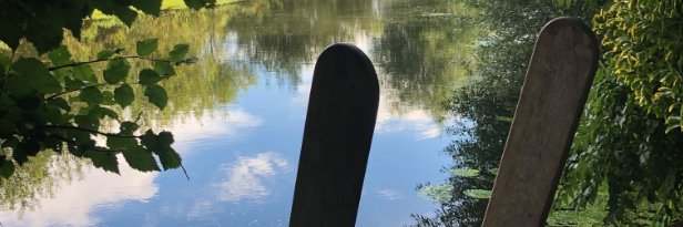 grungleweed's profile banner image