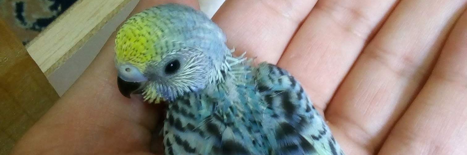 jamjoom1055's profile banner image