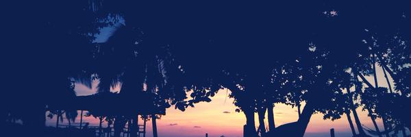 Caroline__Revol Profile Banner