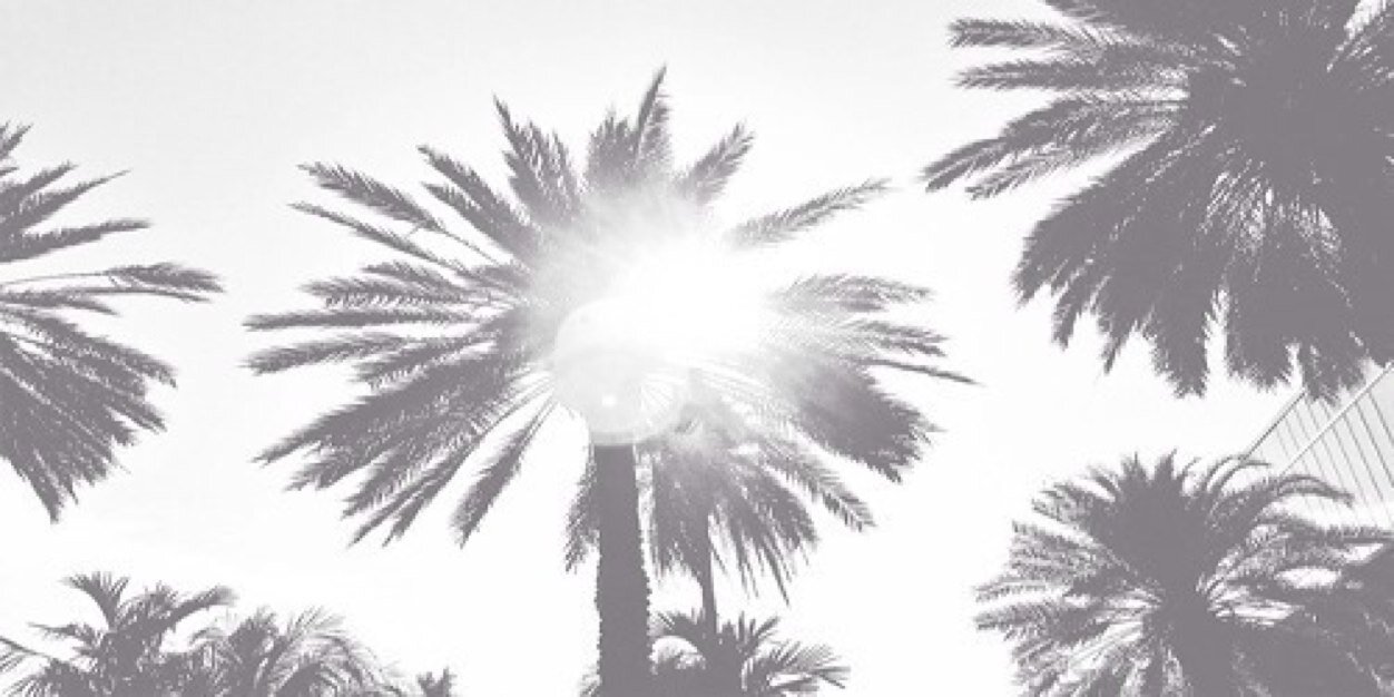 annavzand's profile banner image
