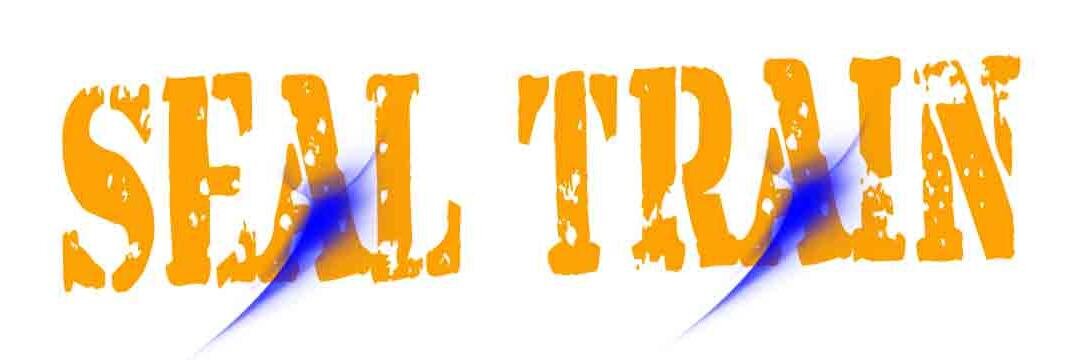 Sealtrain's profile banner image