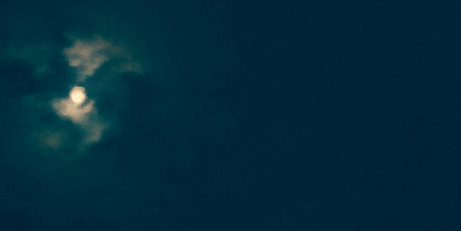 _lealeandro's profile banner image
