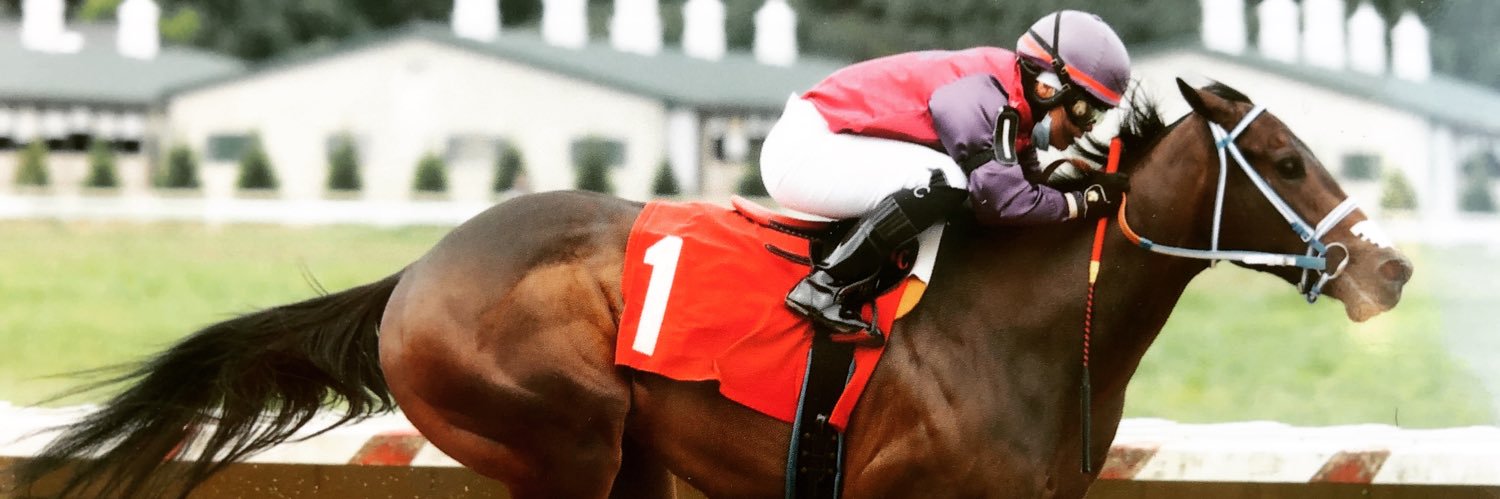 Yarmarie Correa 🍓 banner