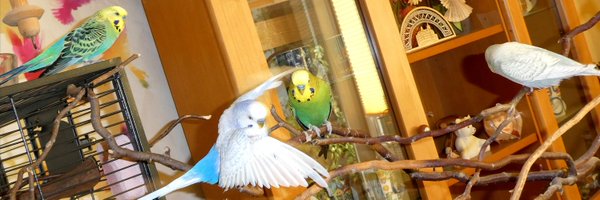 aizenmi2 Profile Banner