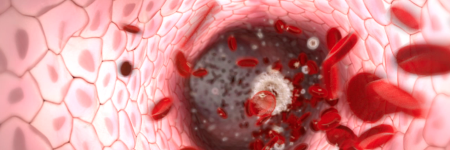 medicalanimate's profile banner image