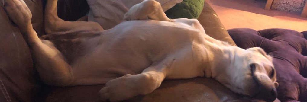 The Big Fellow banner