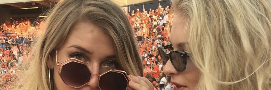 Sarah Elizabeth banner