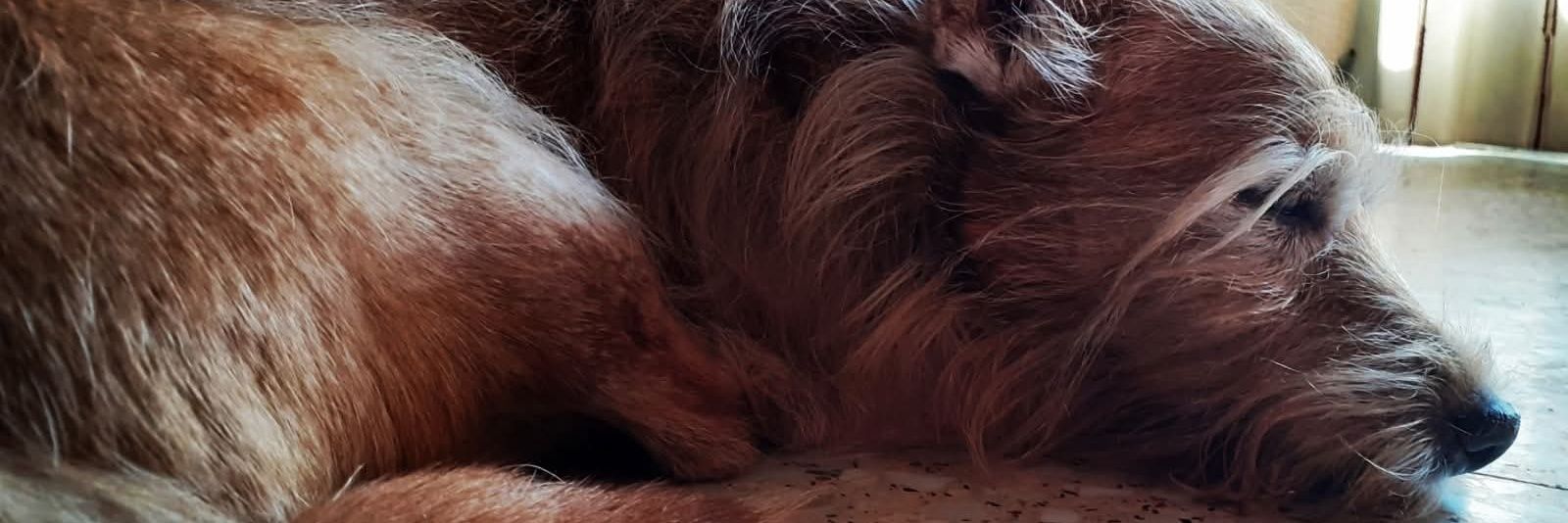 ~𝖧ø𝗅𝗅ø𝗐 𝖭𝖺𝗋ø𝖼𝗄~ banner