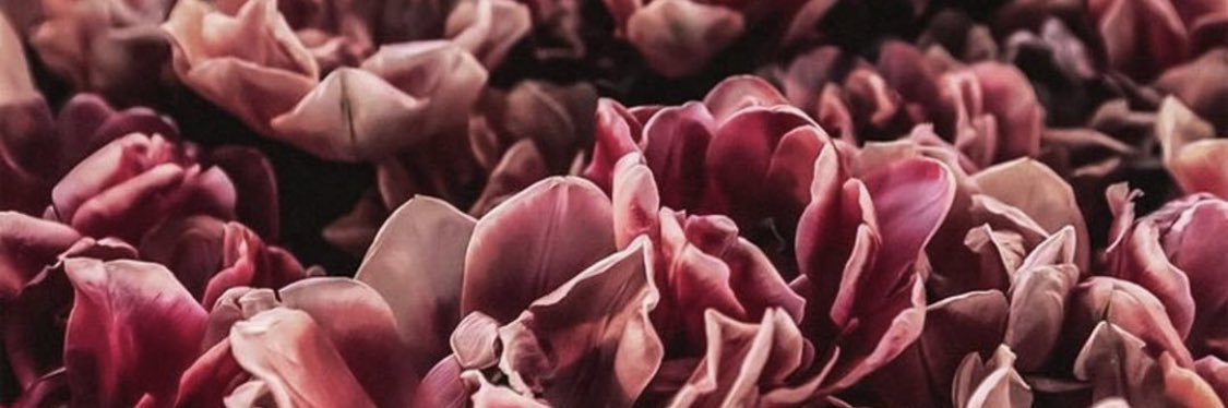 CoralLeon_'s profile banner image