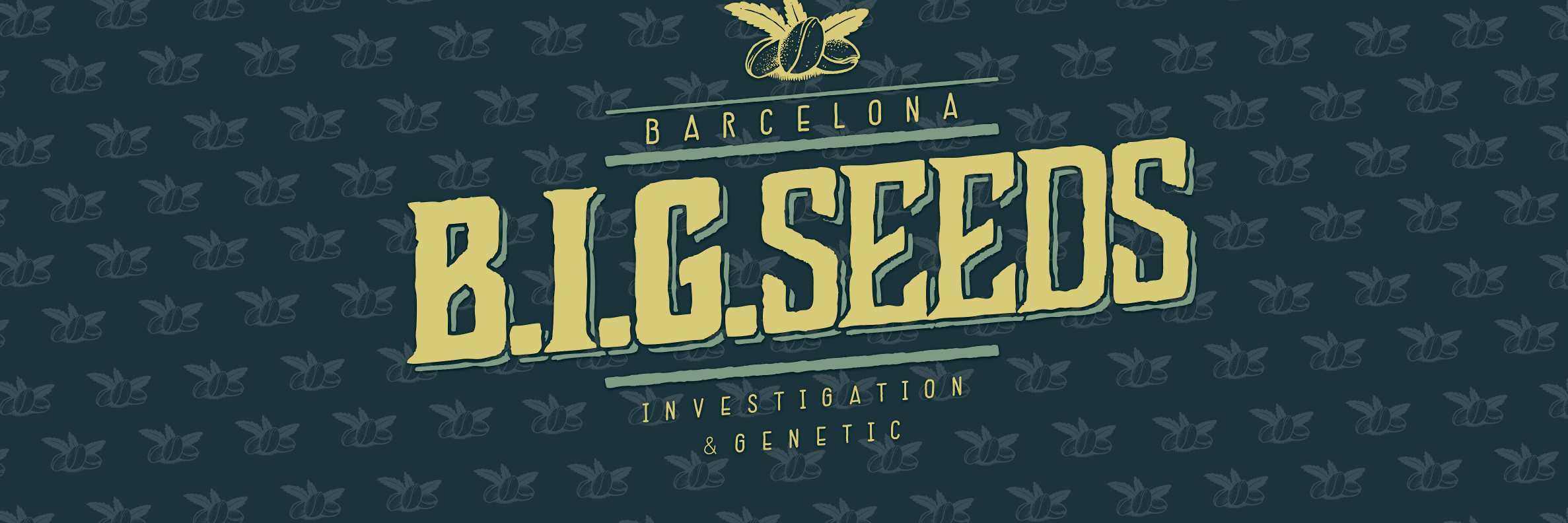 BIG_Seeds's profile banner image