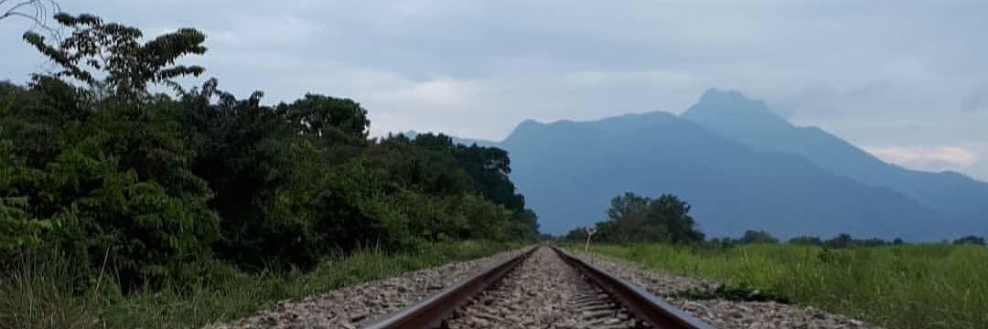 atcochrane's profile banner image