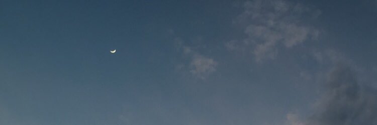 AckerLynn's profile banner image