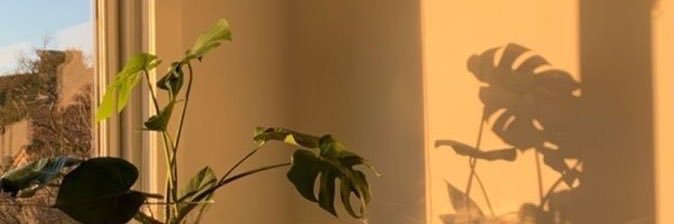 _oliviawebb11's profile banner image