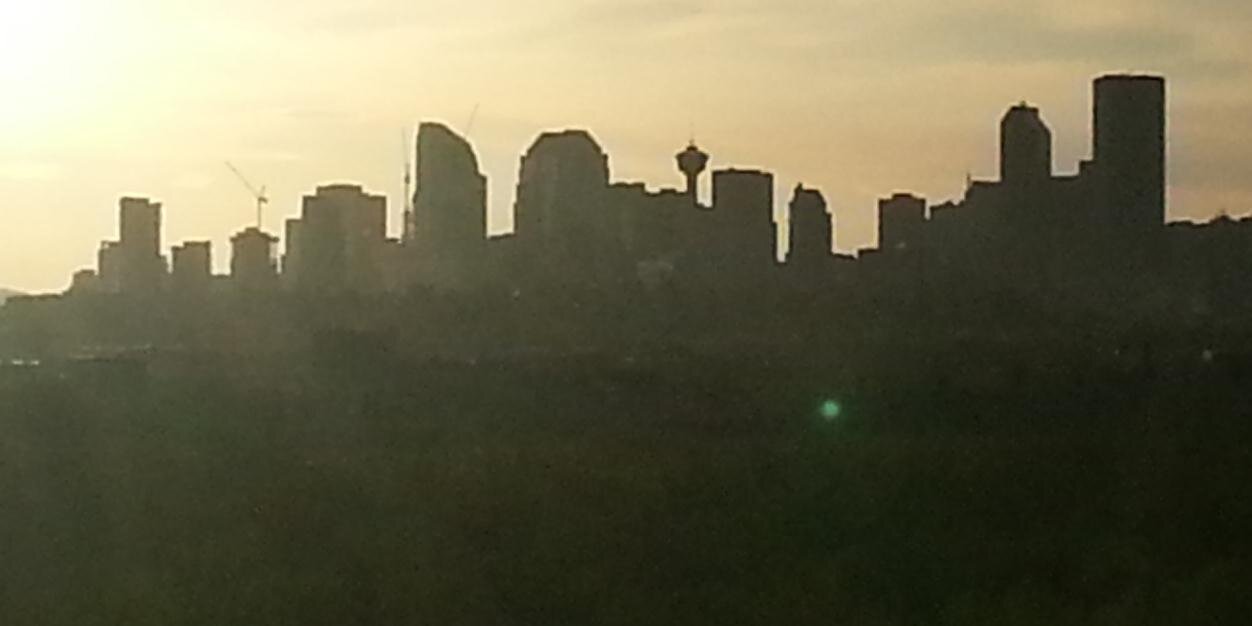 Krishani Starnes (she/her) 🇨🇦🇱🇰 banner