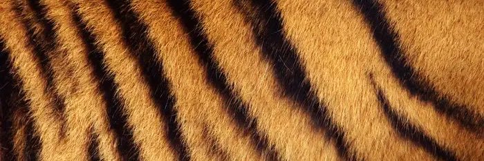 yskkun's profile banner image