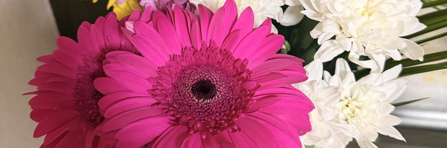 LexSinclaire's profile banner image