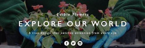 NurturedInNorfolk banner