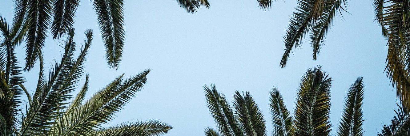 xristou13's profile banner image