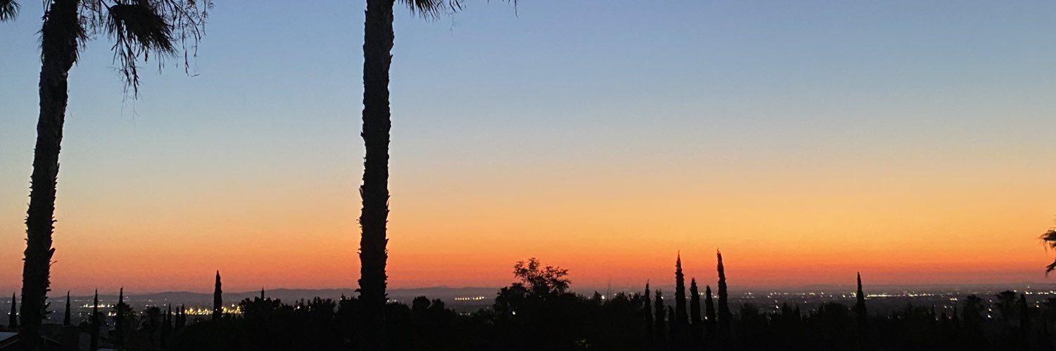 TreezFromBelize's profile banner image