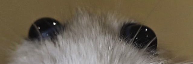 kevinclear's profile banner image