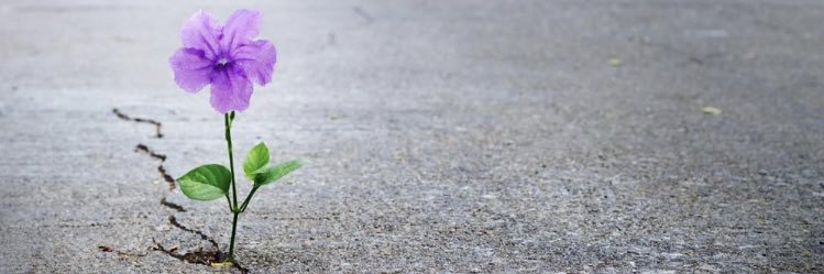 Shae7171's profile banner image
