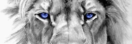 alex_will16's profile banner image