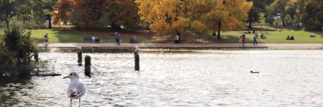 ايمان منور الشمري banner