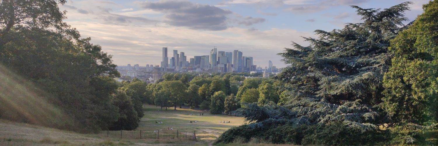 Daniel Akinola-Odusola FRSA banner