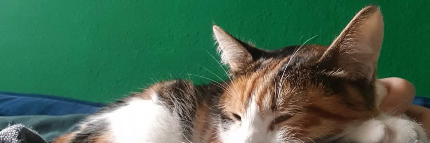 LisyEasy's profile banner image