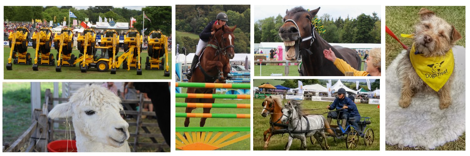 Country Shows banner