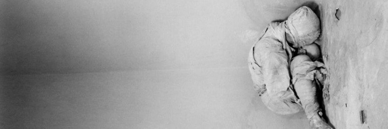 CaptainCokeIRL's profile banner image
